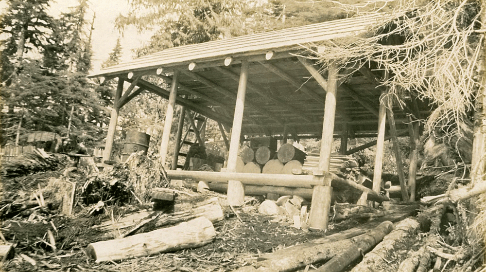 The original woodshed.
