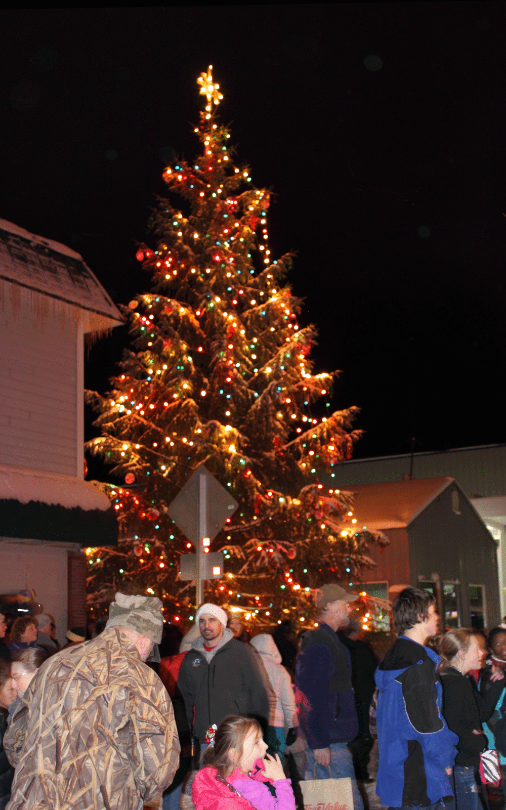 Wrangell_tree_lighting_2012_5972.gif