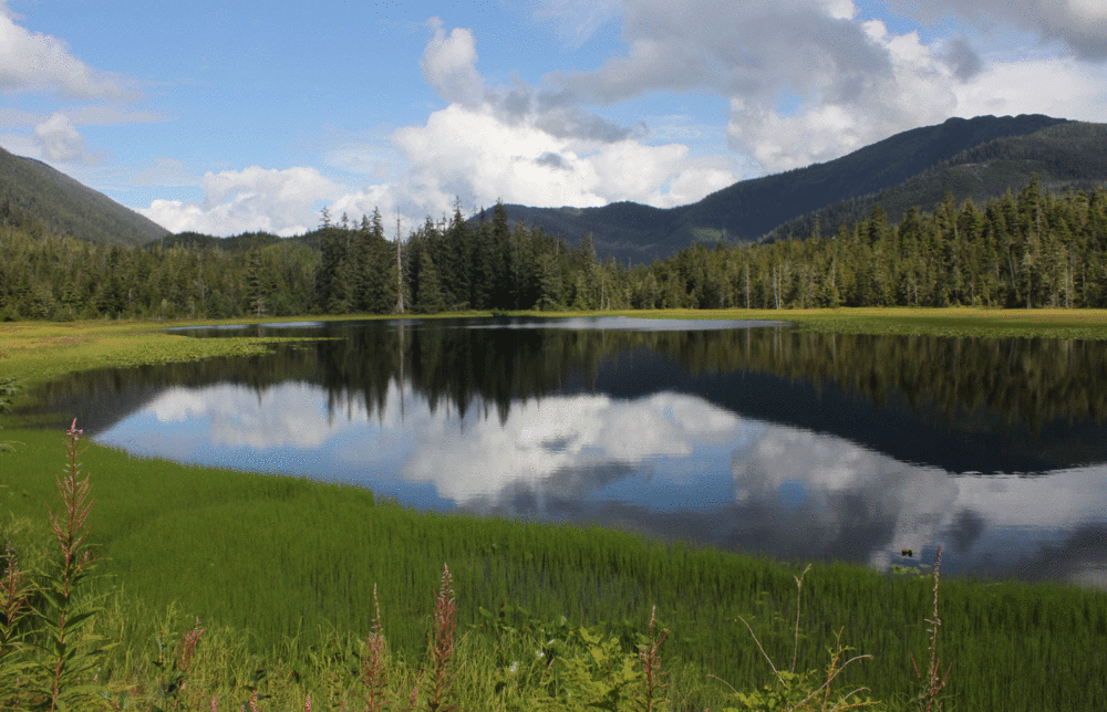  Pat's Lake, Wrangell Island 