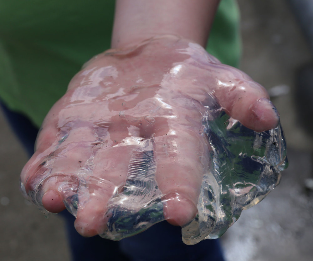 Margaret holding a jellyfish. 