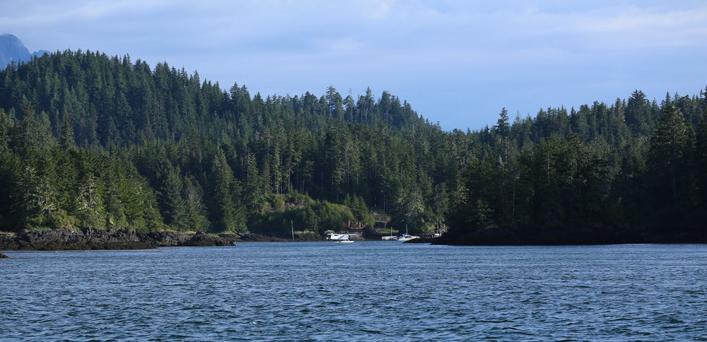 The entrance to Point Baker