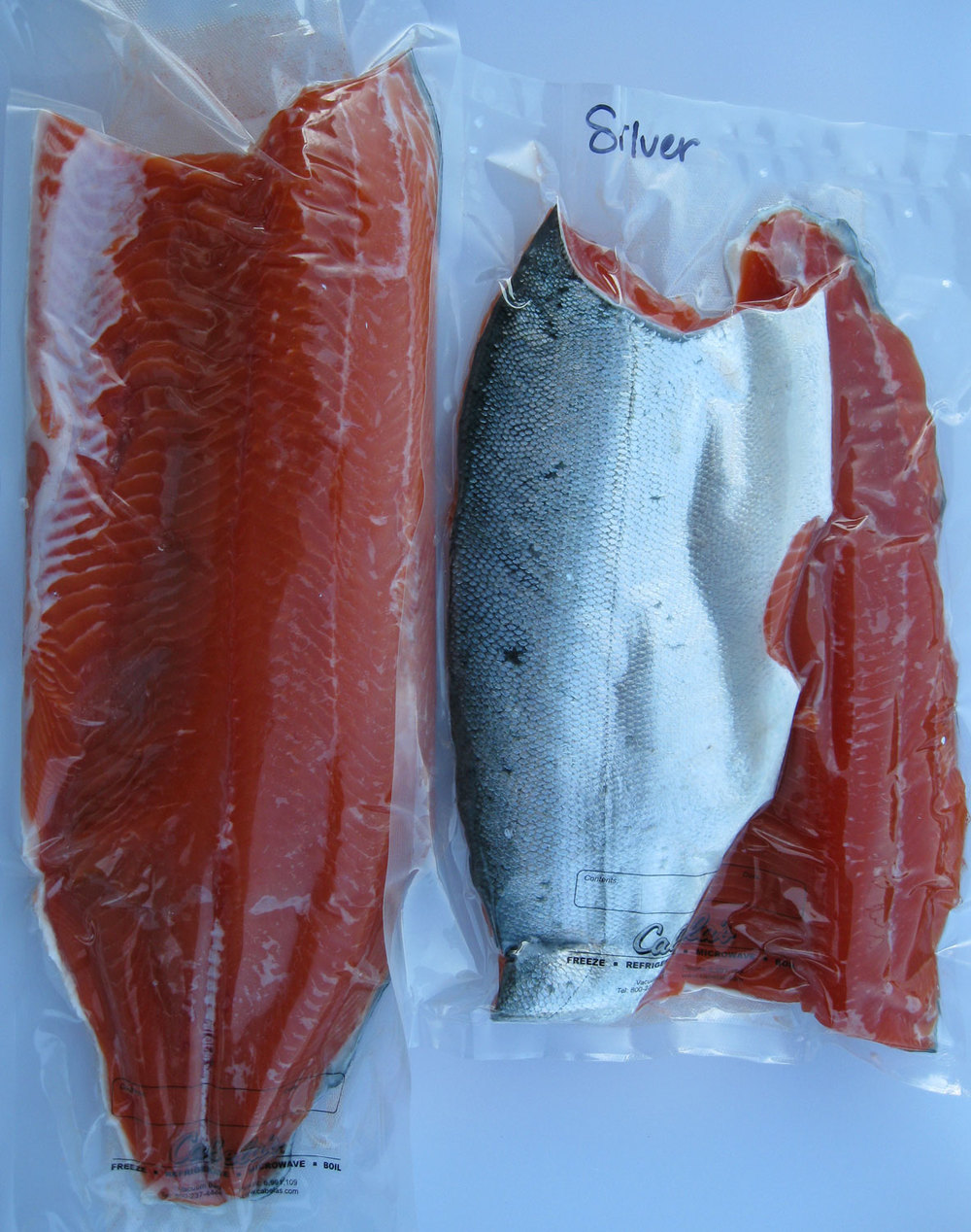  Silver salmon fillets vacuum packed for freezing.  