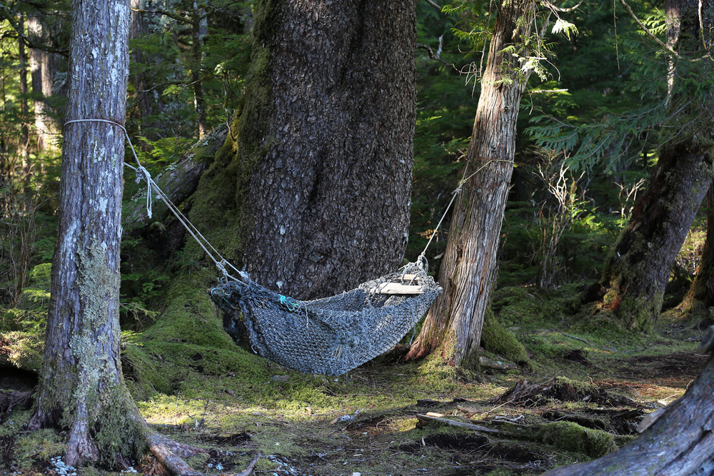 Hammock seine net Southeast Alaska