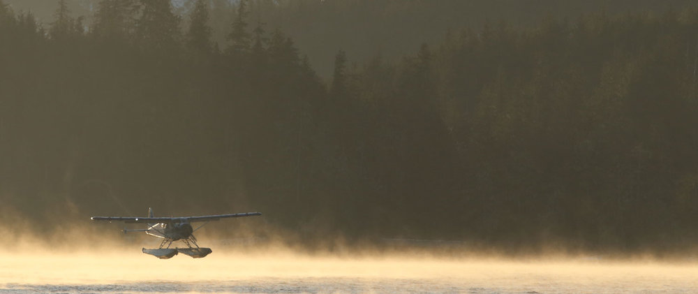 de Havilland Beaver floatplane landing in the mist Southeast Alaska