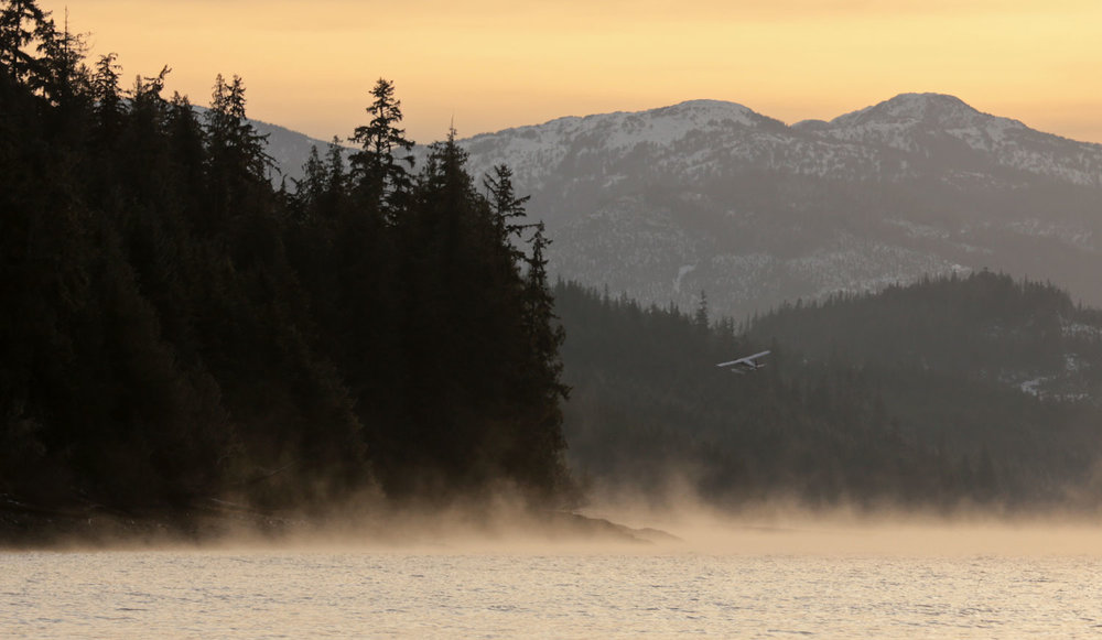 De Havilland Beaver floatplane departing Thorne Bay Alaska on a misty morning