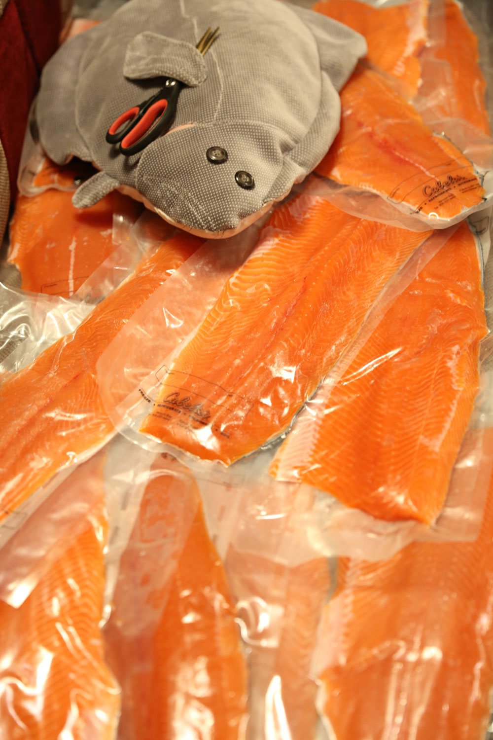 Halibut with scissors to open the vacuum packed salmon