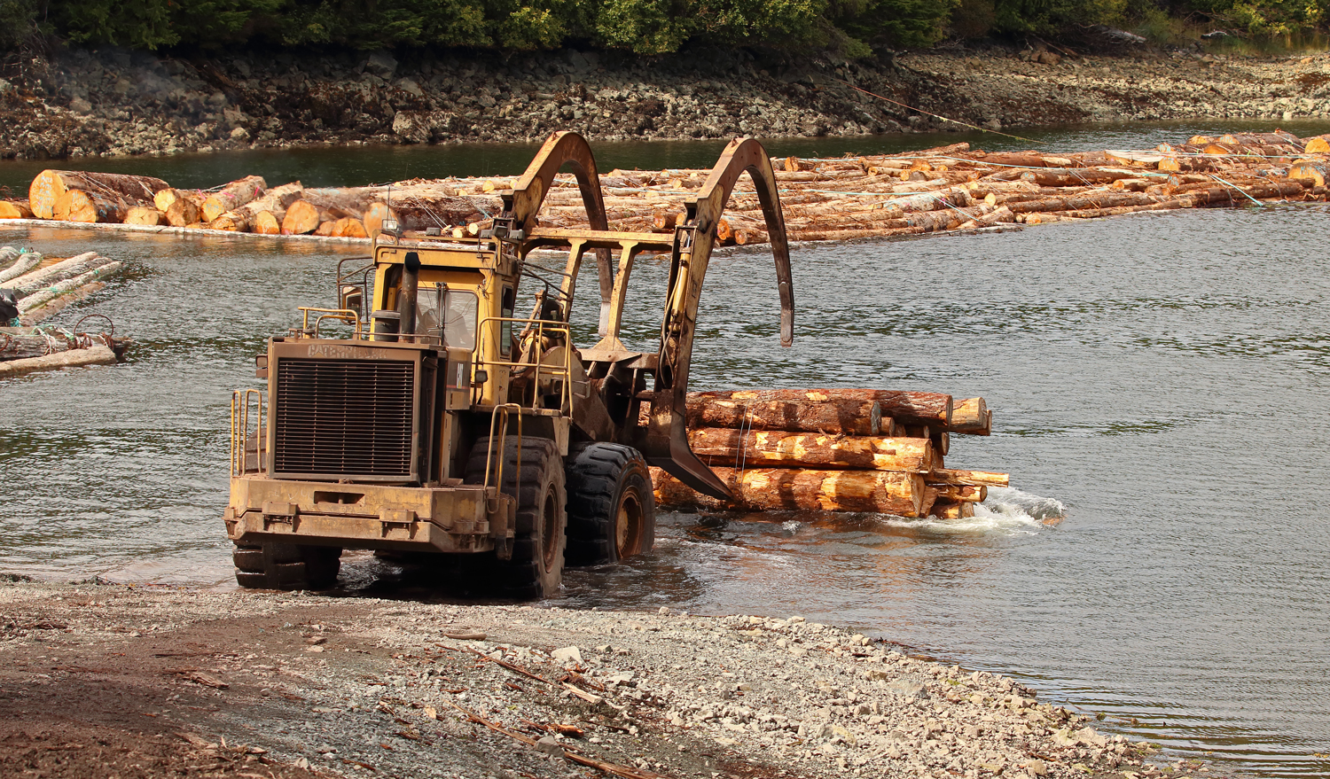 Caterpillar 988F log loader dumping a bundle of logs into the water on Prince of Wales Island in Southeast Alaska