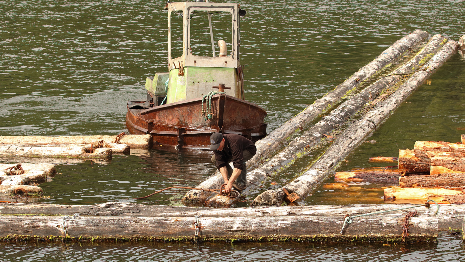 Boom Man hooking up cable with a shackle on a log raft Prince of Wales Island Southeast Alaska