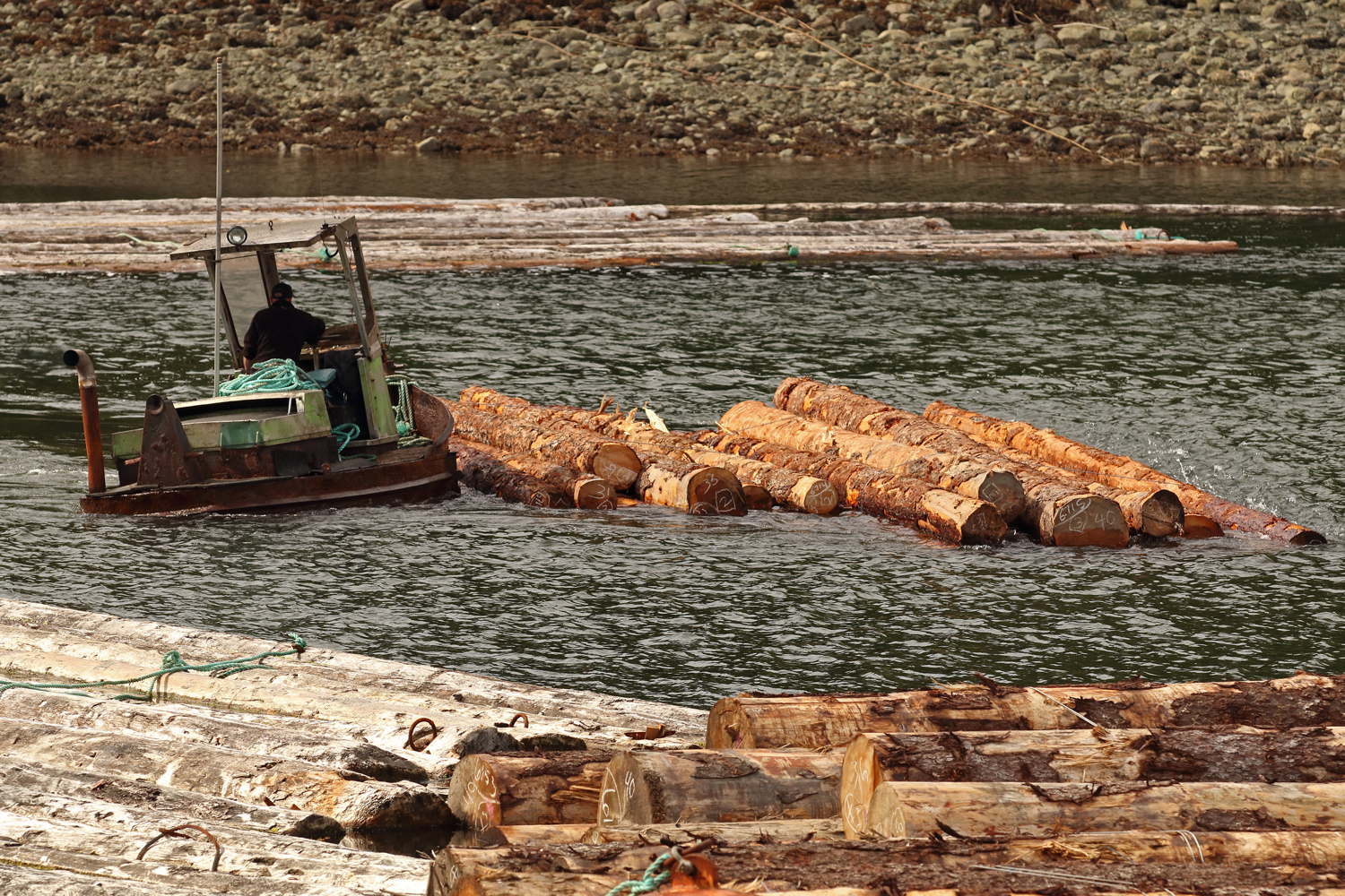 Boom boat sidewinder log bronc handling log bundles Prince of Wales Island Southeast Alaska