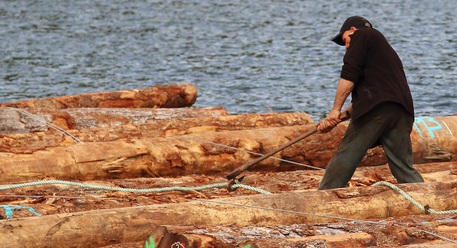 Boom man knocking log dog out of log bundle with an ax near Prince of Wales Island Southeast Alaska