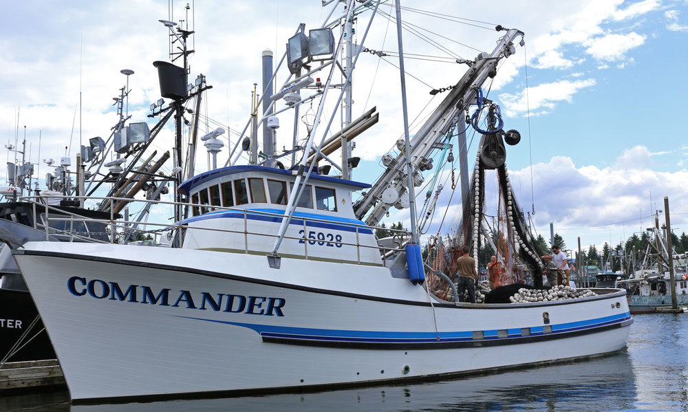 Commander Seine seiner commercial fishing boat Petersburg southeast alaska crew working net harbor