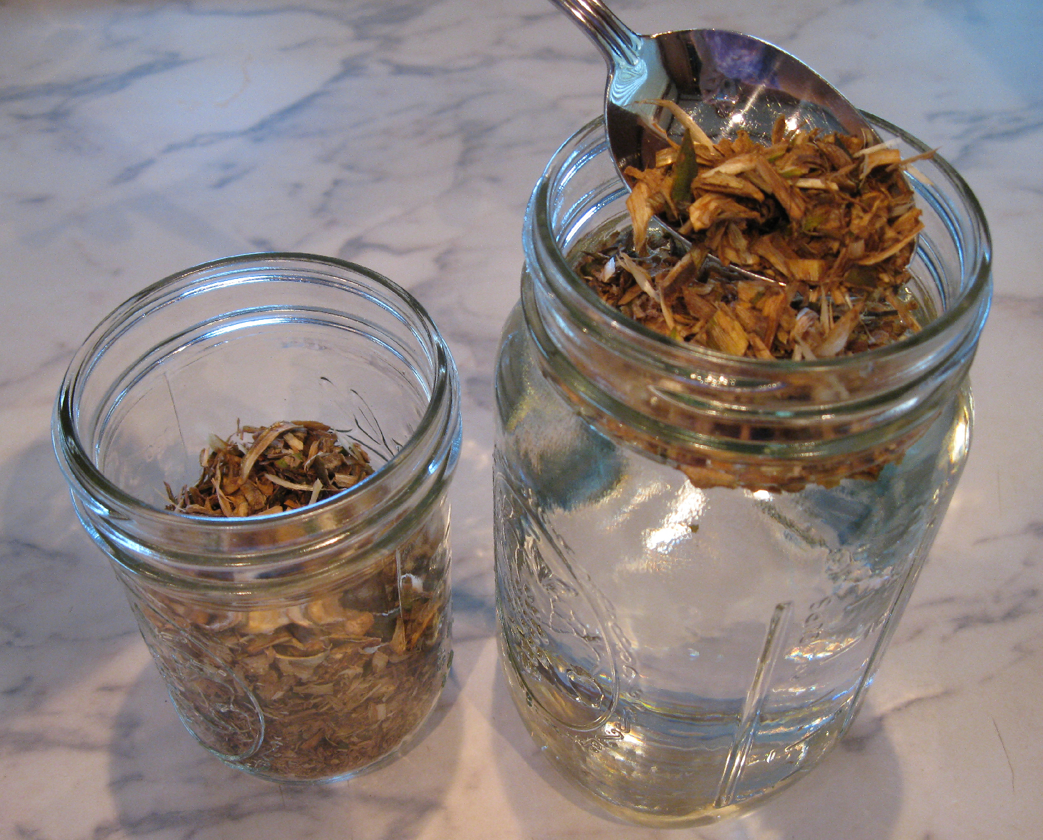 Devil's Club Sun Tea with dried inner root bark