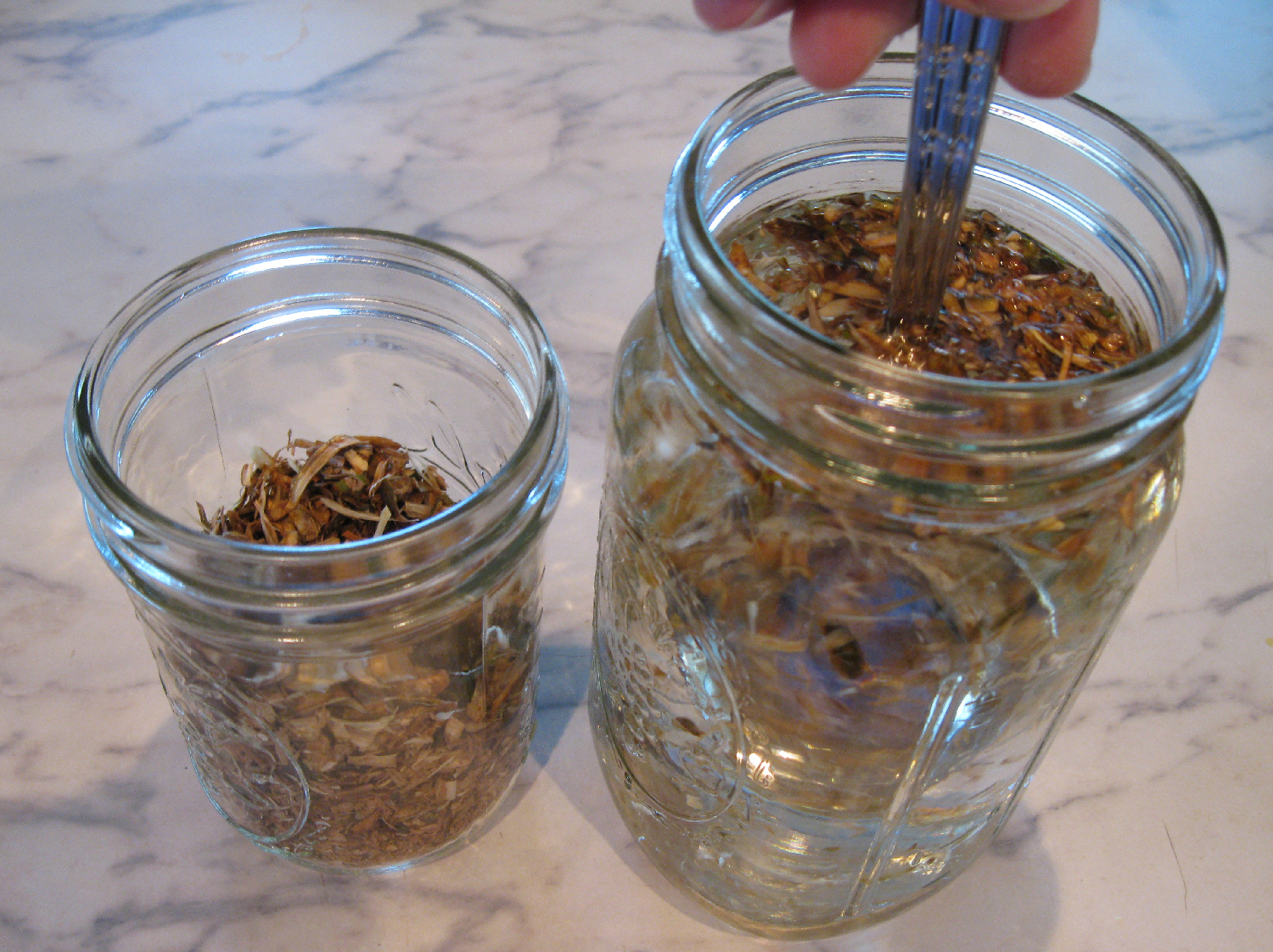 Devil's club dried inner root bark sun tea