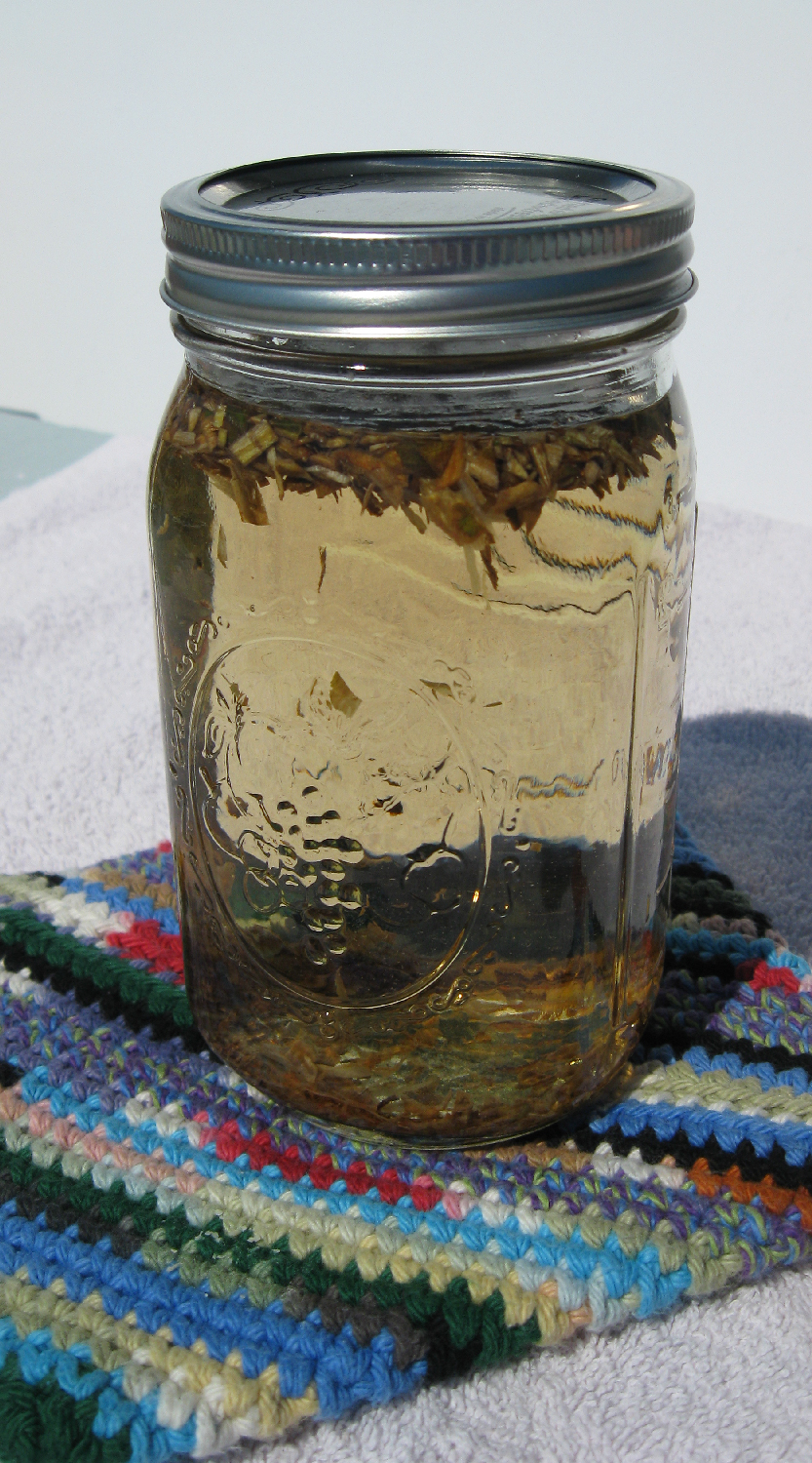 Devil's club sun tea out on the deck made with dried inner root bark