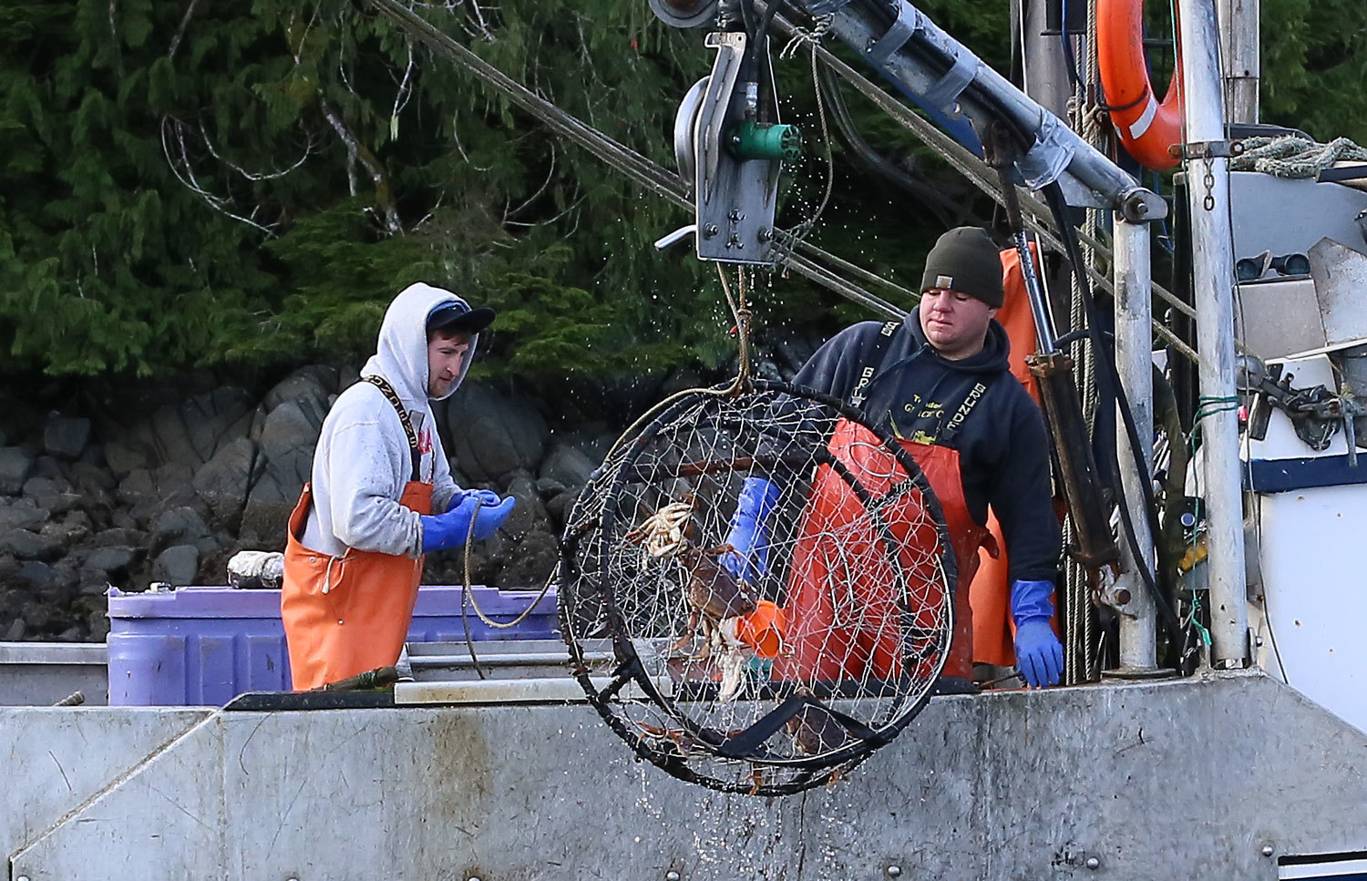 Dungeness_crab_commercial_fishing_2065.jpg
