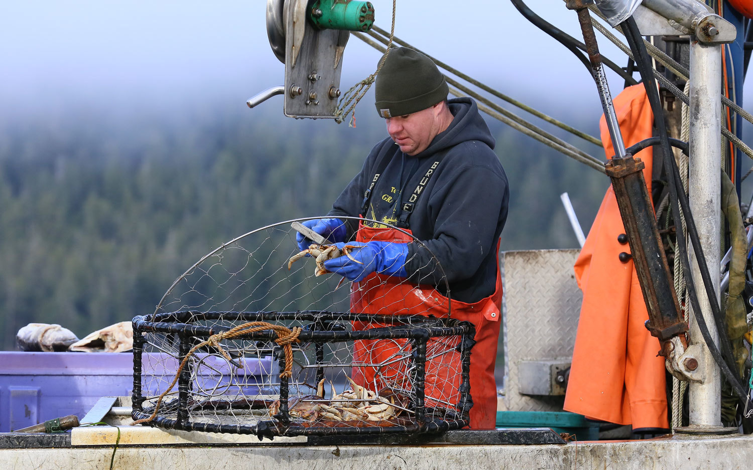 Dungeness_crab_commercial_fishing_2082.jpg