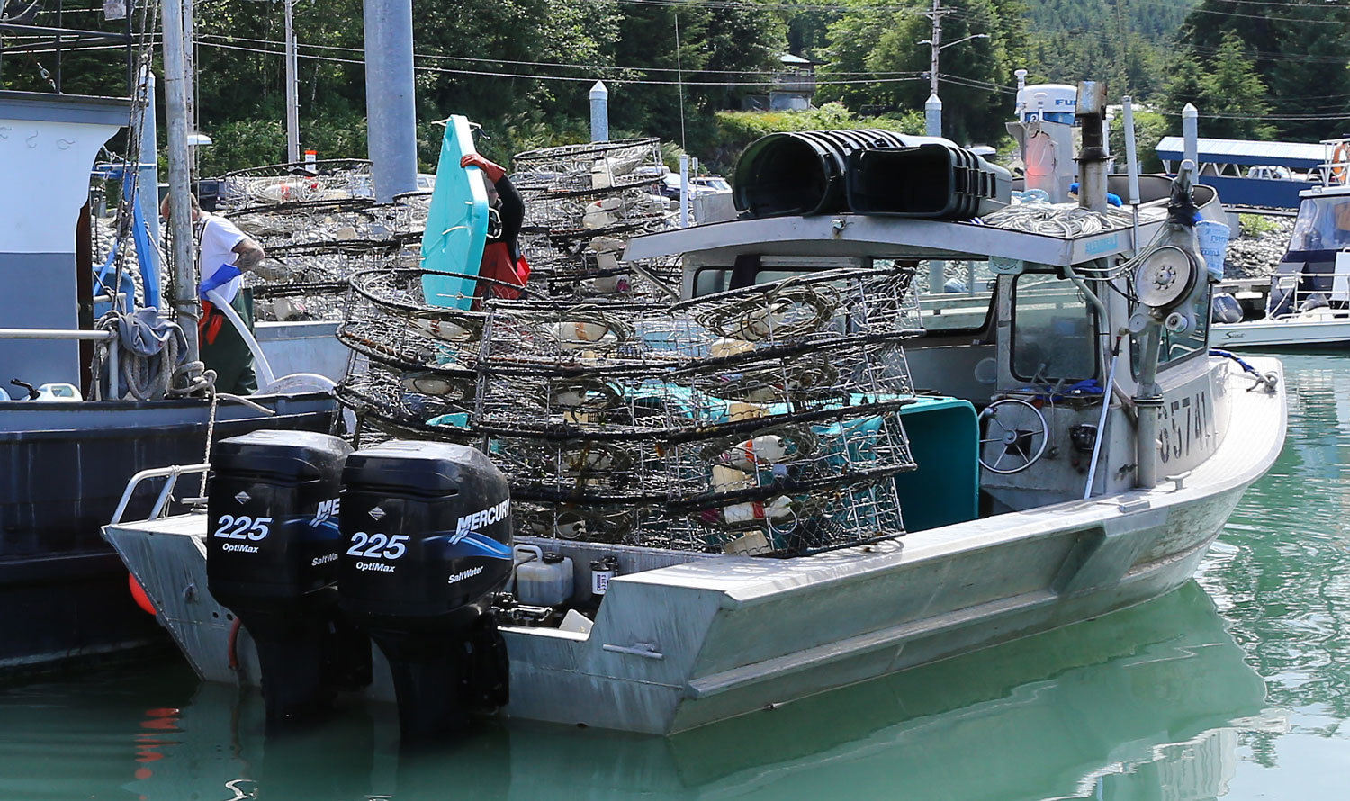 Dungeness_crab_commercial_fishing_2468.jpg