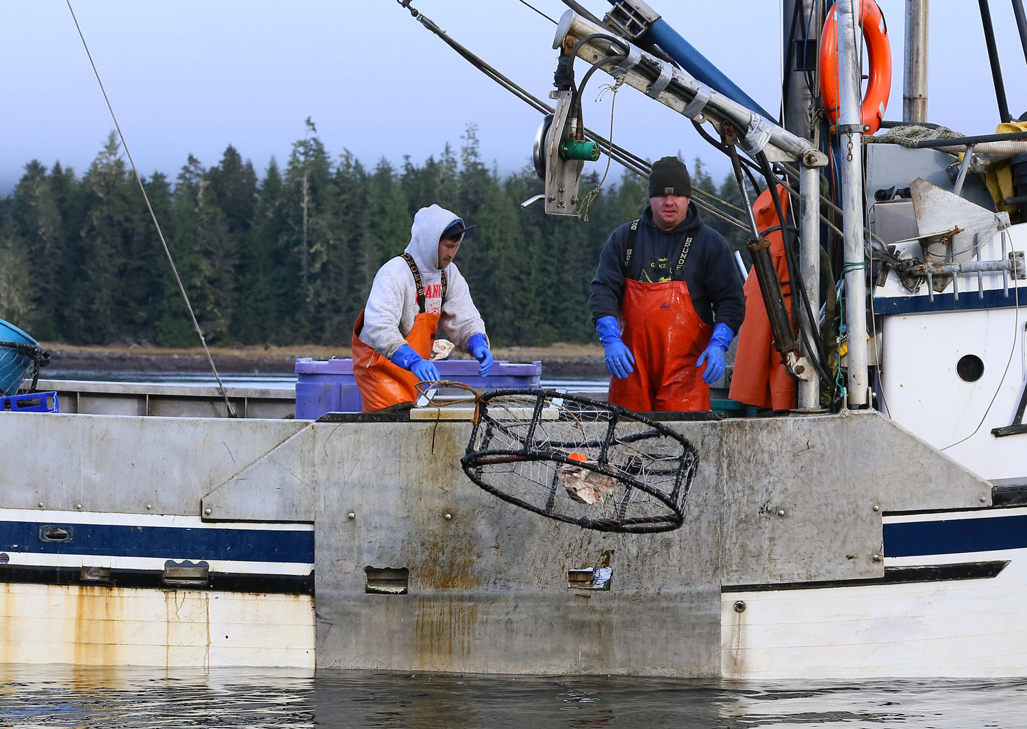 Dungeness_crab_fishing_2086.jpg