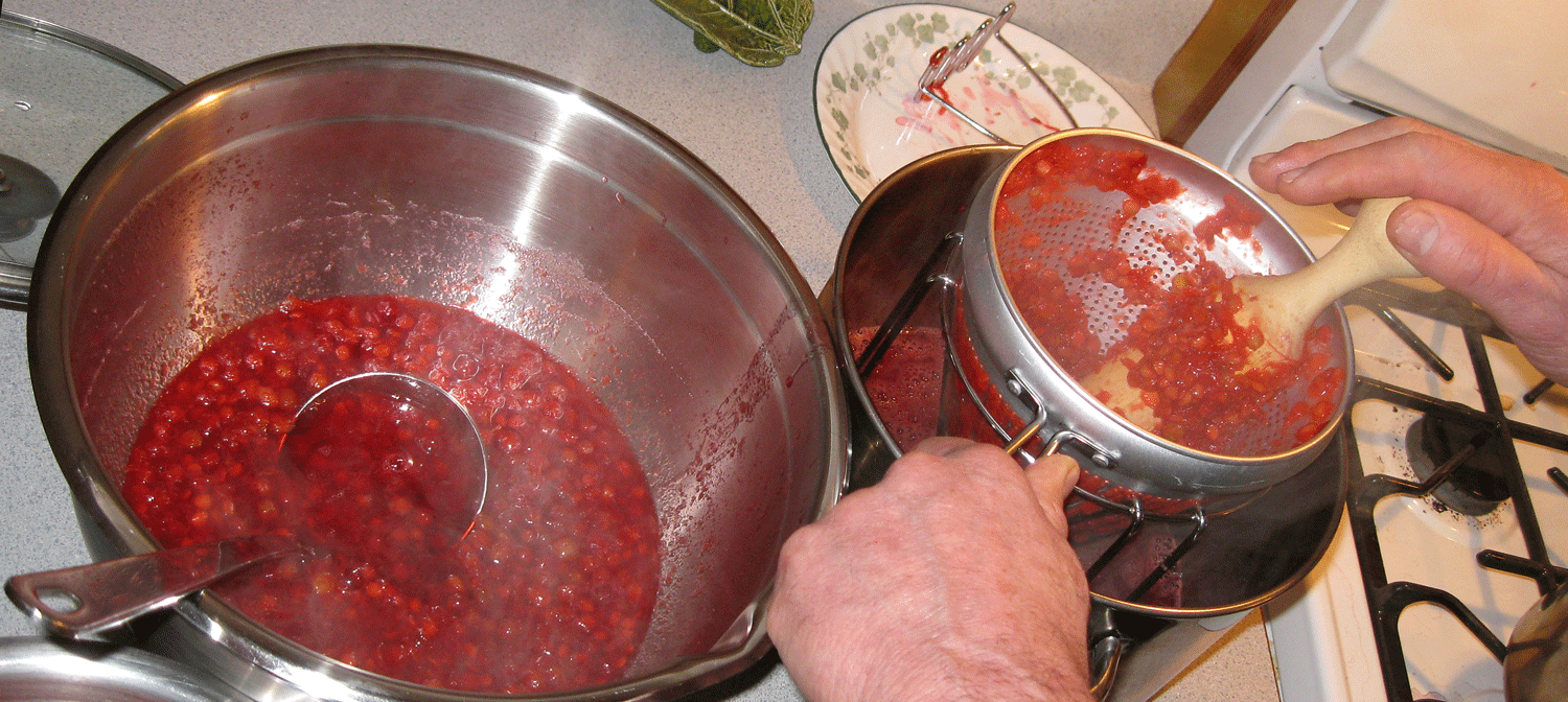 Separating seeds and skins from the berry pulp.