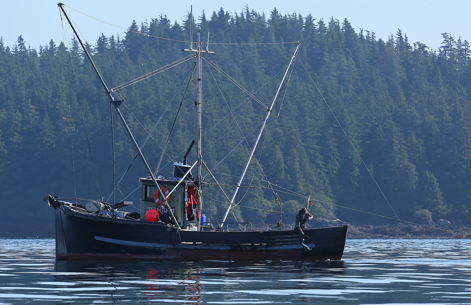 Hand troller bringing a fish in Sumner Strait near Port Protection.