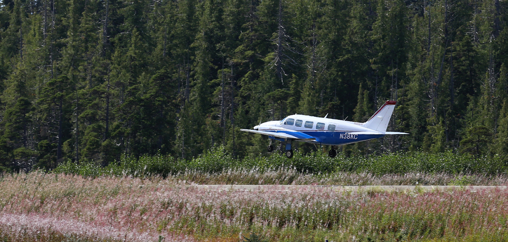 A half-pound owl is being medivaced to Sitka in this plane. There are people passengers on board, too.