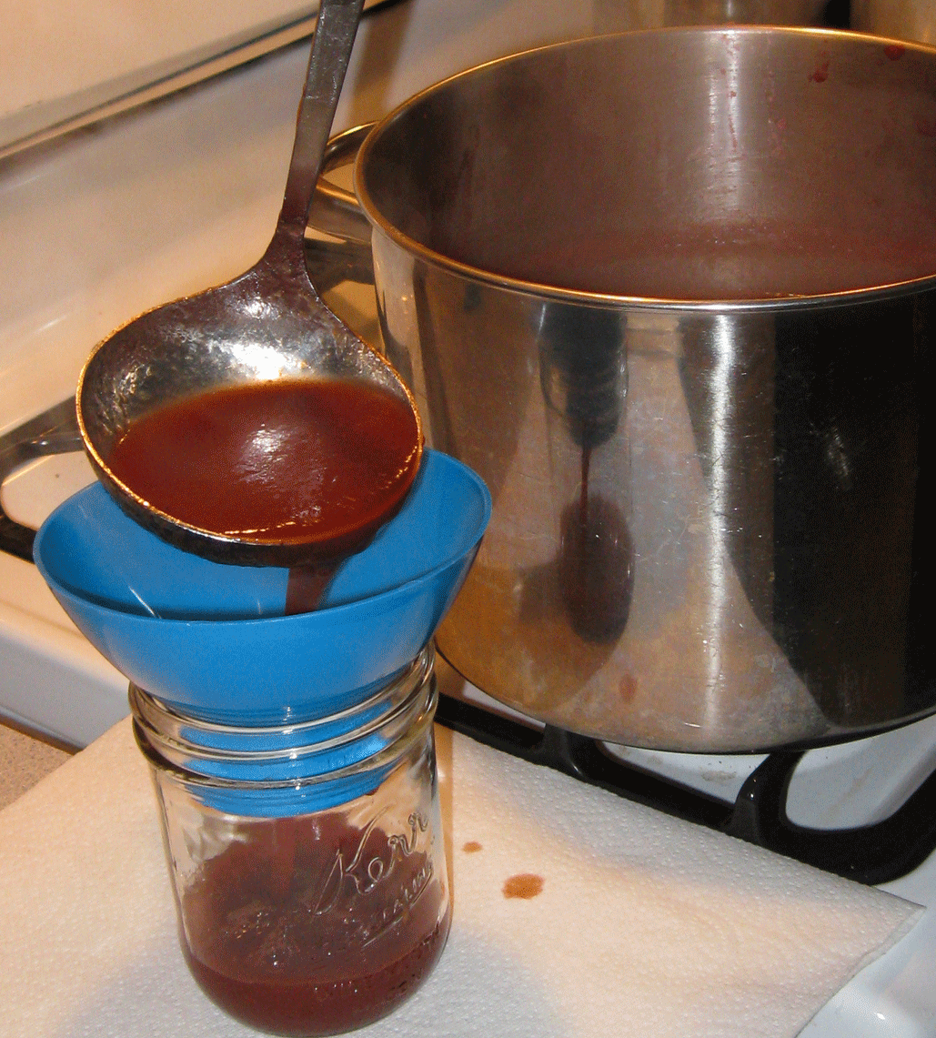 Highbush Cranberry Ketchup Recipe