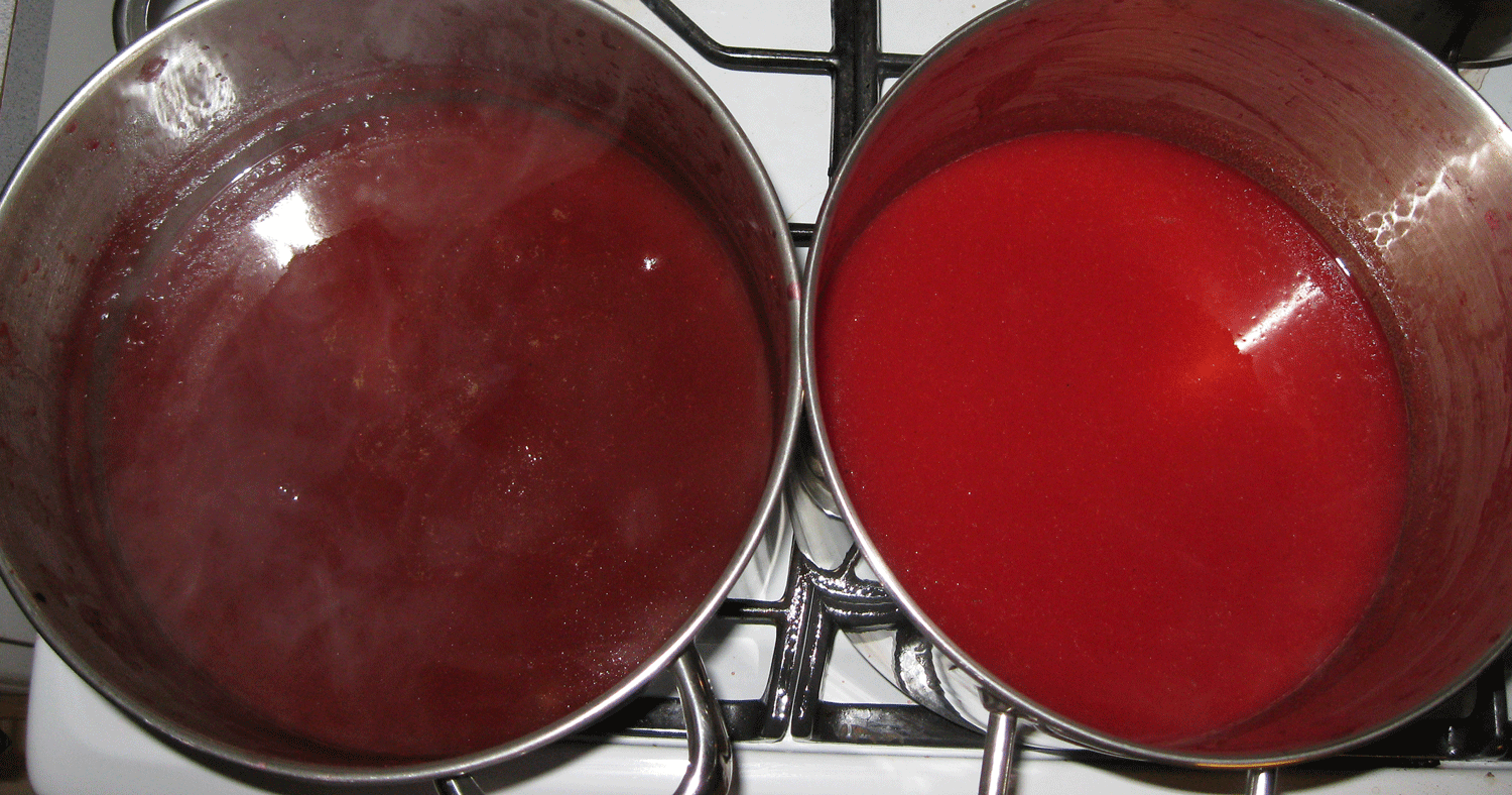 The ketchup will darken in color as it cooks. The batch on the right is just starting. The one on the left is almost ready.