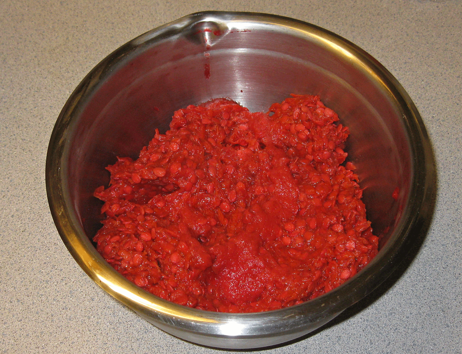 Leftover seed mash from making highbush cranberry ketchup.