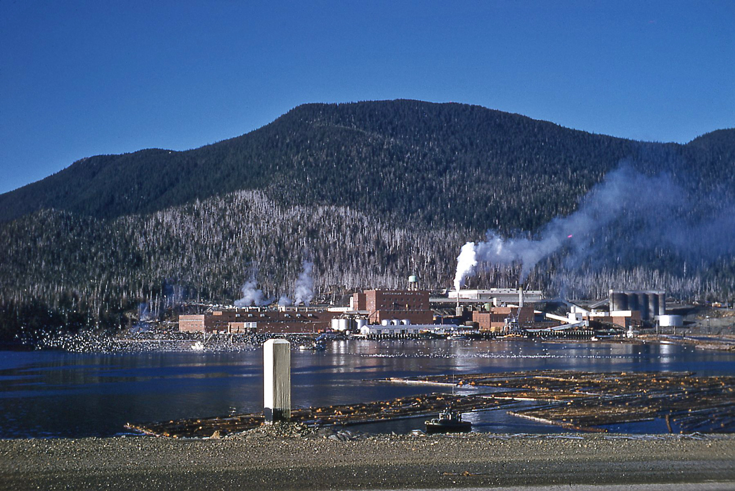 Ketchikan Pulp Company site in the 1950s Alaska