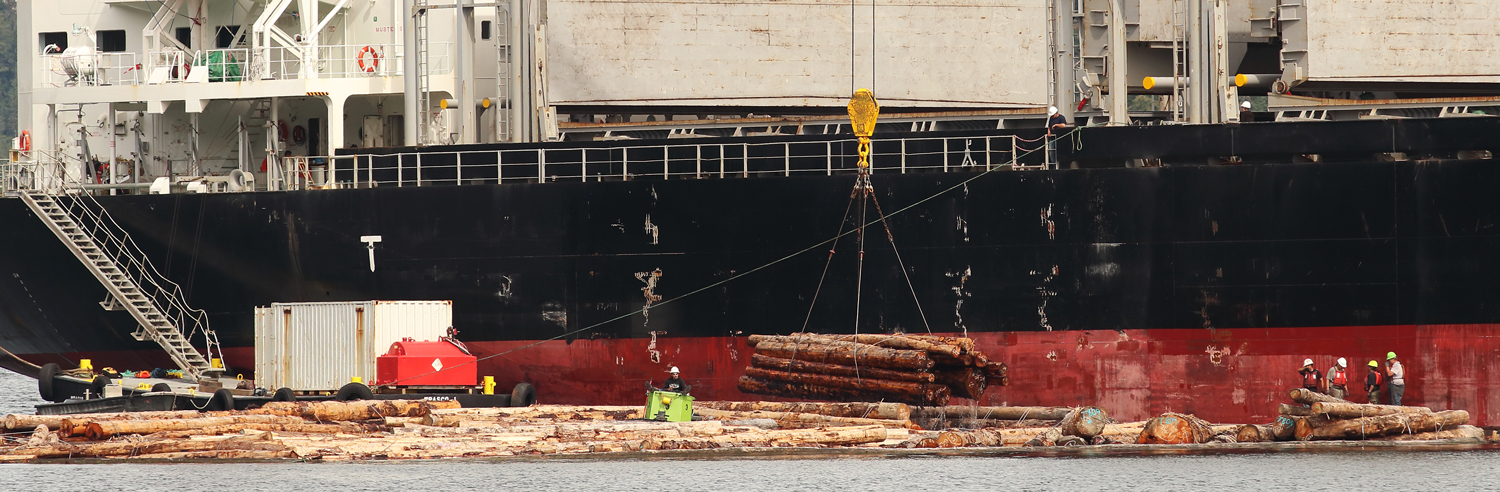 Log bundles being loaded onto a cargo ship Prince of Wales Island Southease Alaska