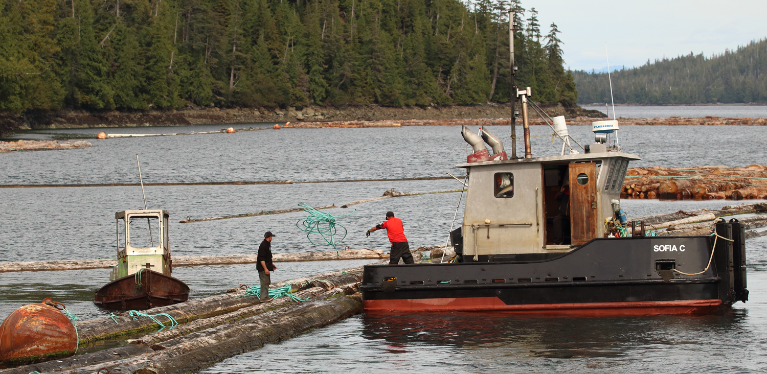 Log rafts boom man Sophia C Prince of Wales Island Southeast Alaska