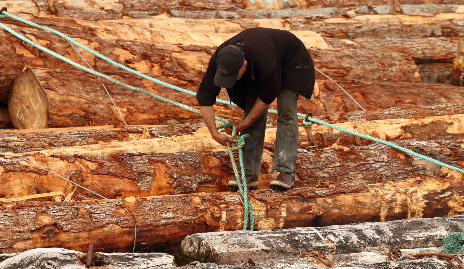 Logging boom man tying a line on Prince of Wales Island Southeast Alaska
