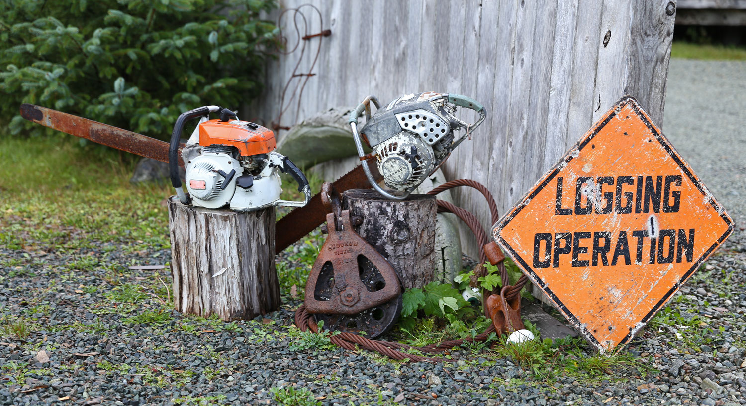 Logging shrine