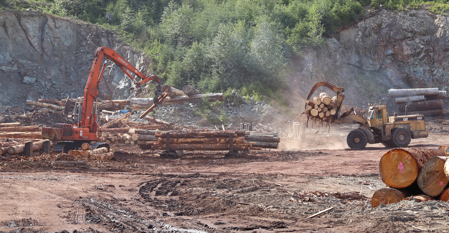 Logging sort yard with log shovel and loader on Prince of Wales Island in Southeast Alaska