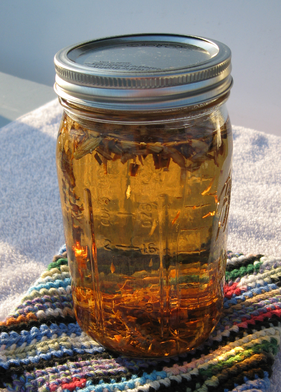 Making devil's club sun tea with dried inner root bark