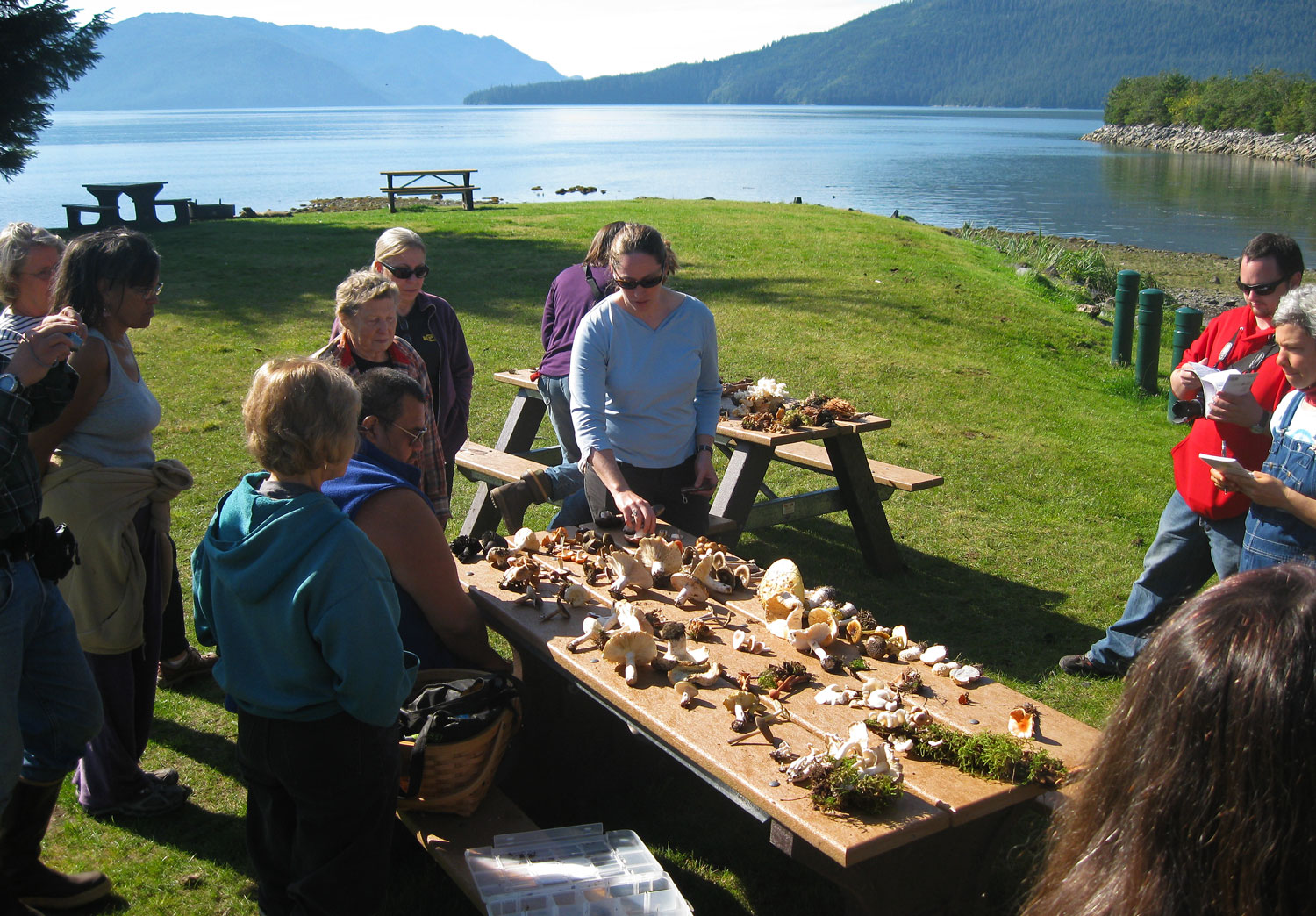 Edible Mushroom Walk in Wrangell