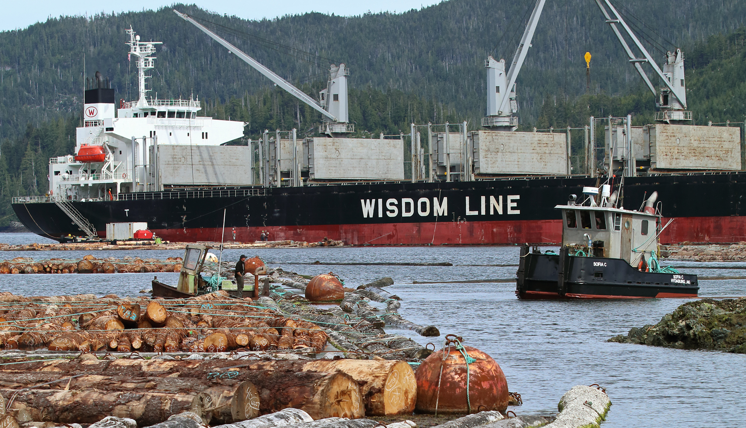 Pusher tug Sophia C assisting in log loading near Prince of Wales Island in Southeast Alaska