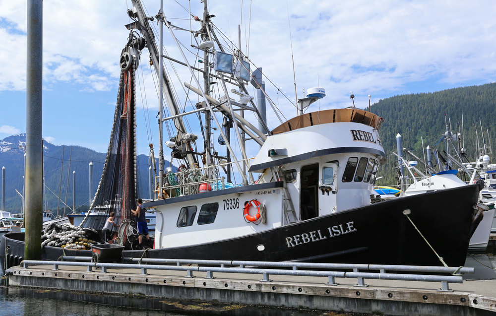 Rebel Isle seiner seine fishing boat Petersburg southeast Alaska harbor dock working net mending