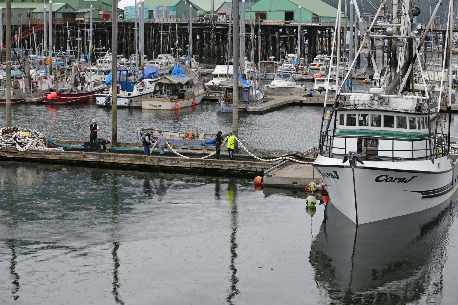 The crew of the Cora J ignores the rain and keeps working on the net. 