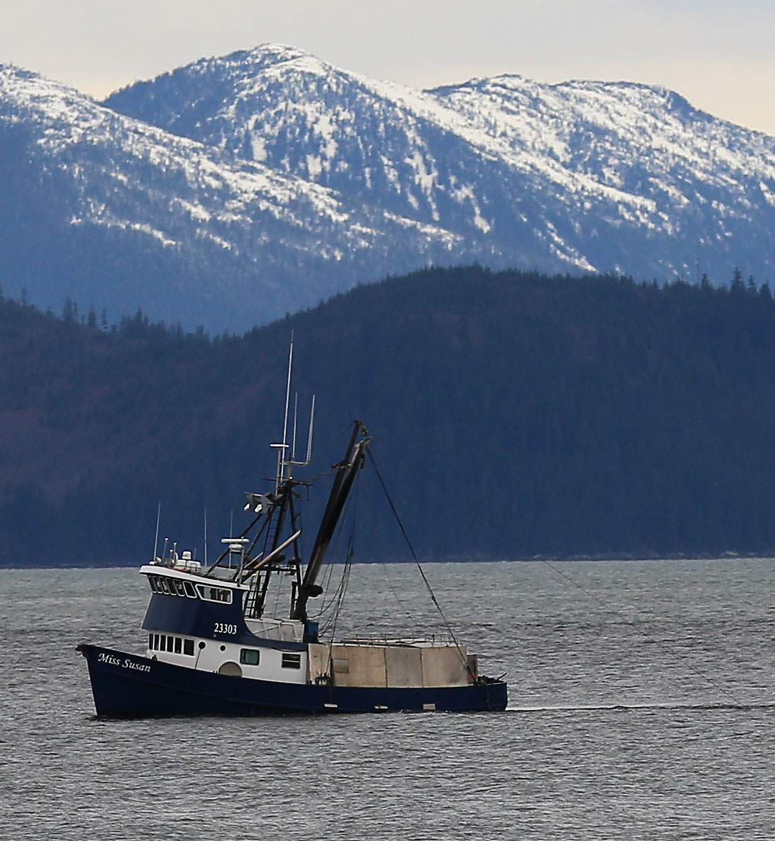 Shrimp_Miss_Susan_trawler_fishing_shrimping_8646.jpg
