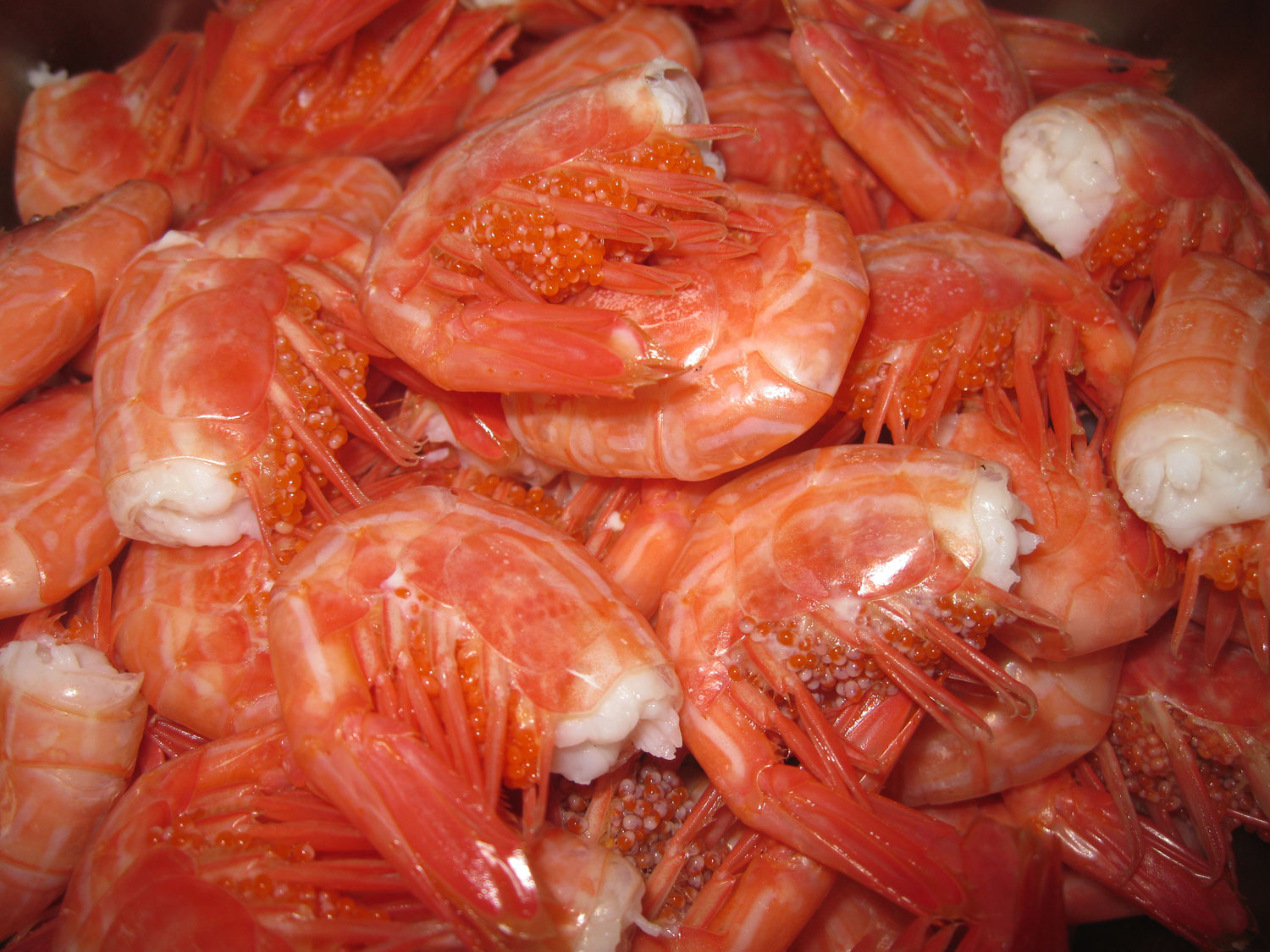 Cooked shrimp tails.