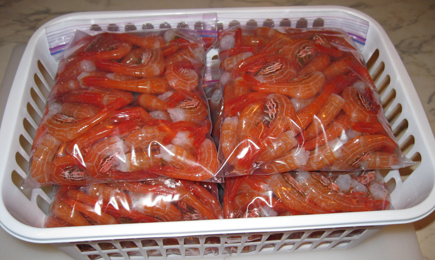 Bags of sidestripe shrimp tails ready to go into the freezer.