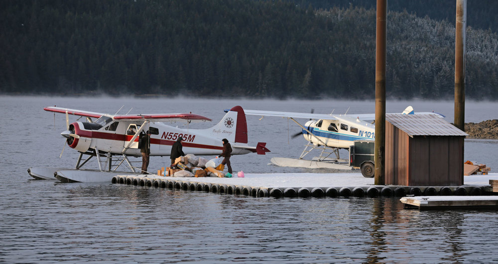 Thorne Bay Alaska floatplane dock with crew handling freight and de Havilland Beaver airplanes