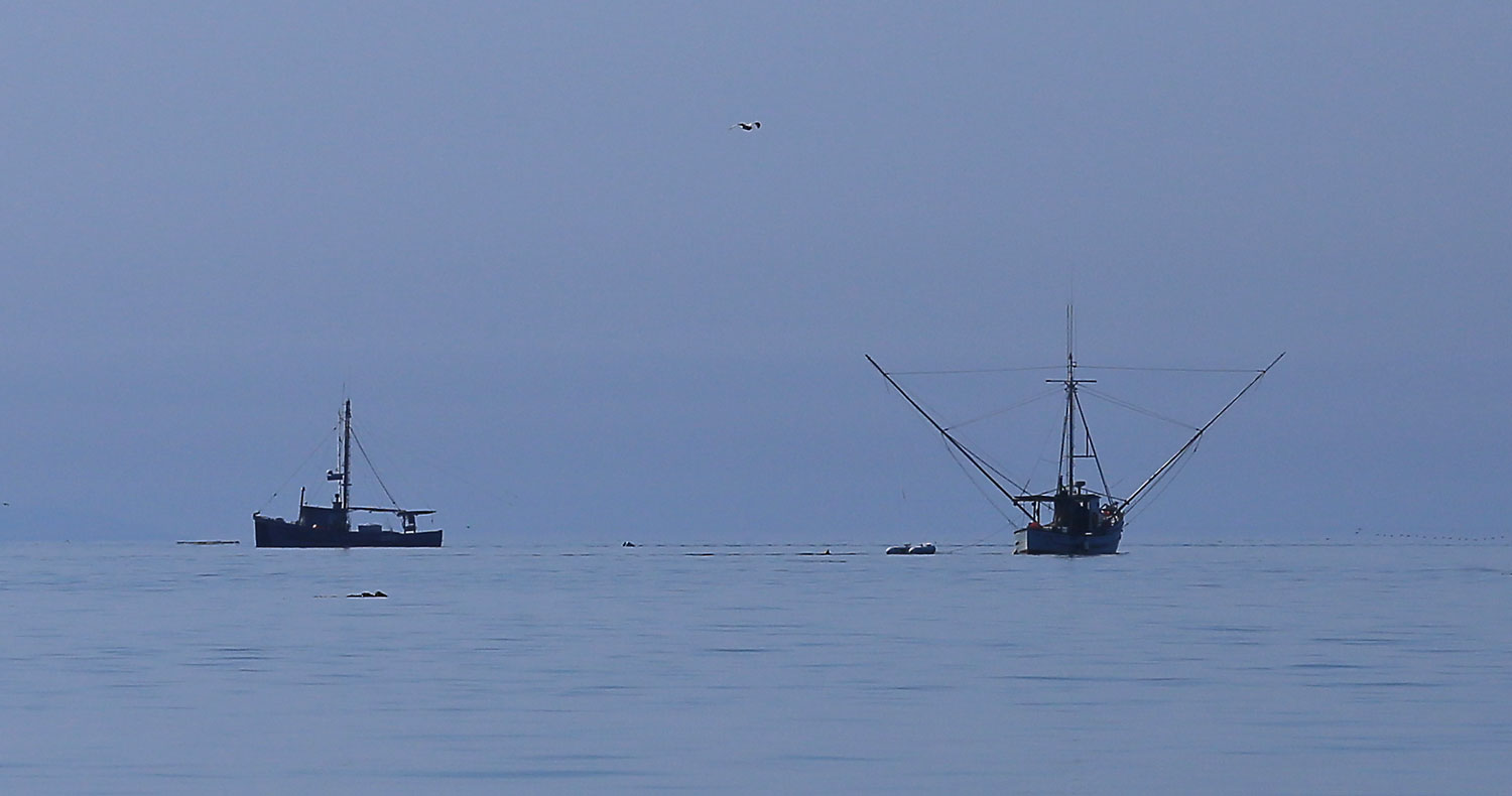 Trollers near Port Protection in Southeast Alaska