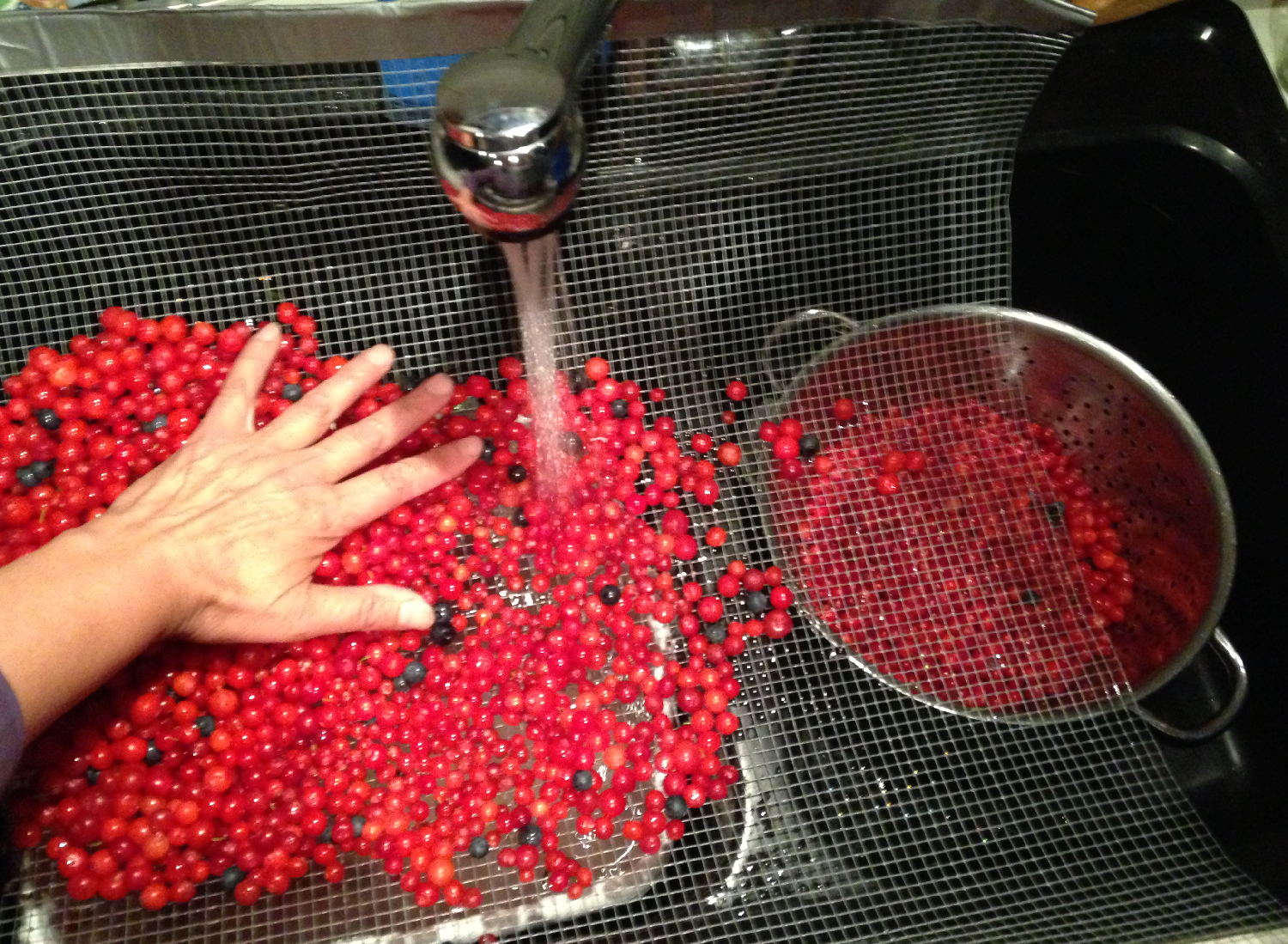Gently rolling the berries around while rinsing them.