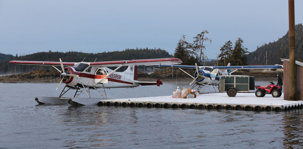de Havilland Beaver airplanes busy with freight at Thorne Bay Alaska floatplane dock