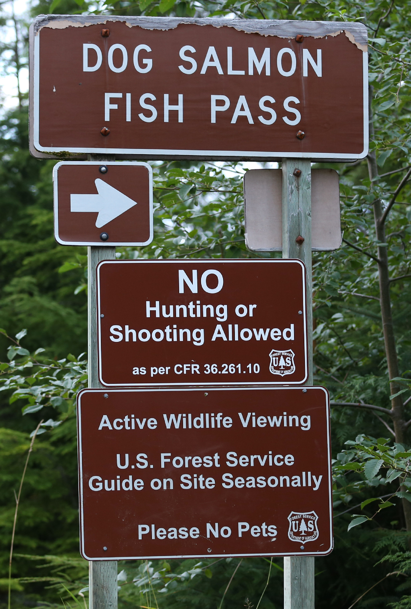 dog salmon fish pass bear viewing sign prince of wales island southeast alaska