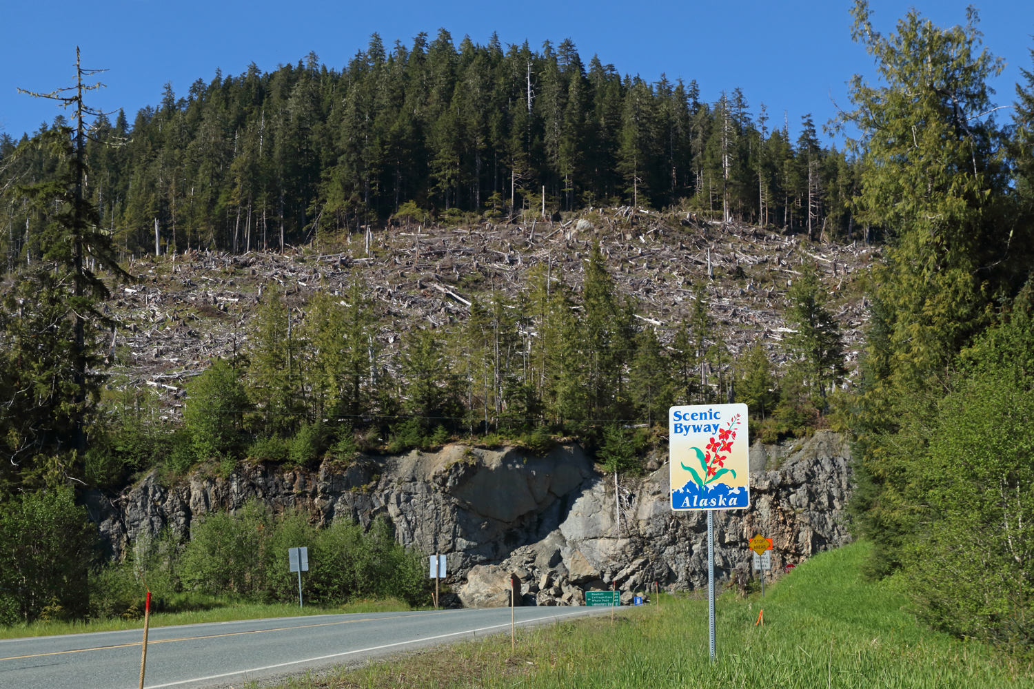 Agencies are sometimes at odds. The Scenic Byway program took a hit when the Alaska Mental Health Trust logged behind the sign.