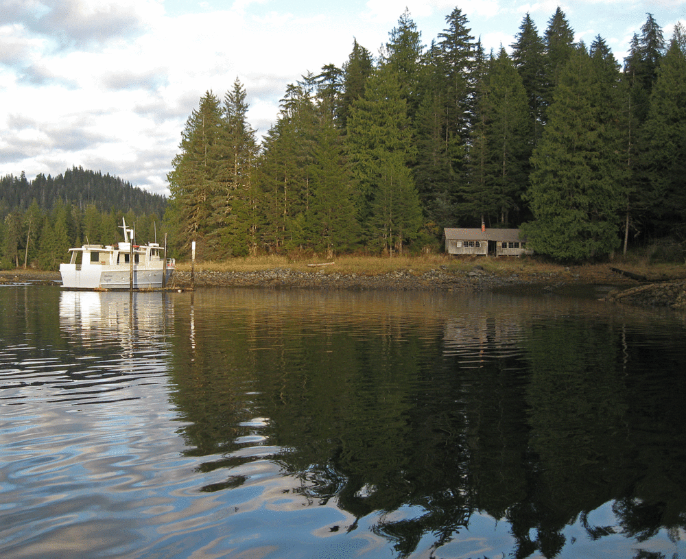 Moored to the piling at the cabin.