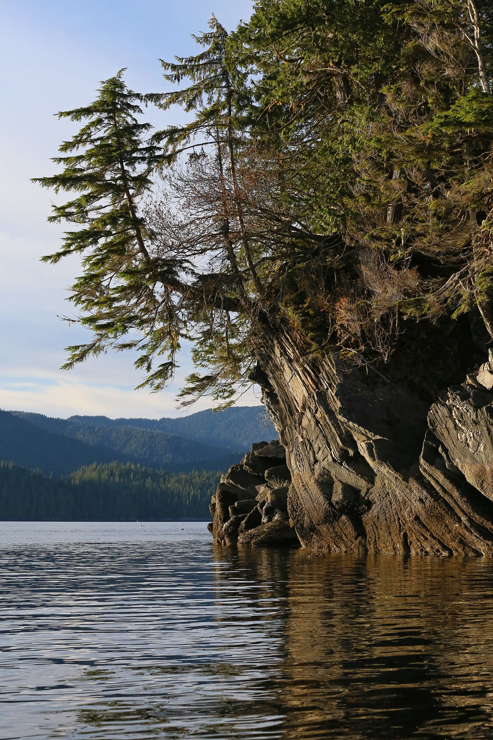 Southeast Alaska shoreline